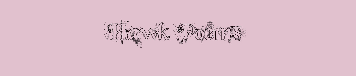 Hawk Poems