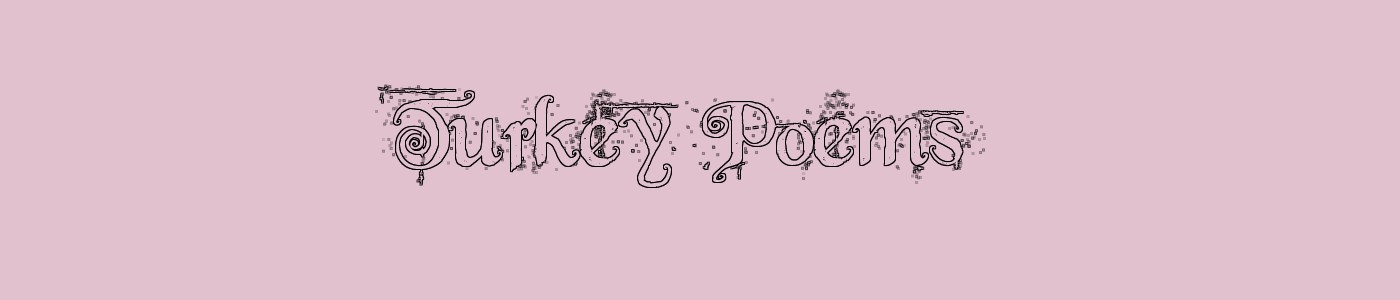 Turkey Poems