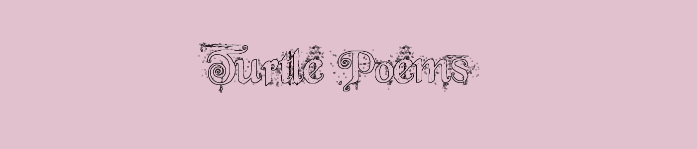 Turtle Poems